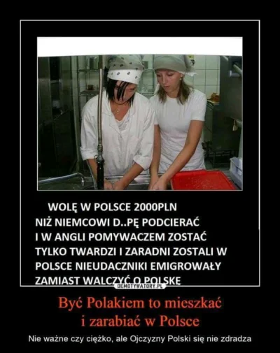 zlote-golabki-winiego - #rakcontent #heheszki #humorobrazkowy #patriotyzm