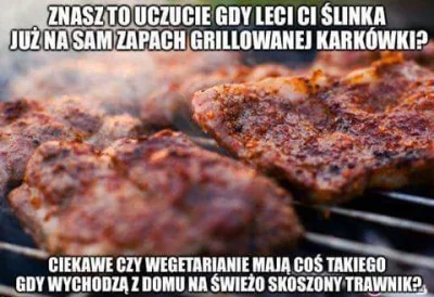 ShugabanKasar - #pewniebyloaledobre #jeslibylotoprzepraszam #bekazwegetarian #heheszk...