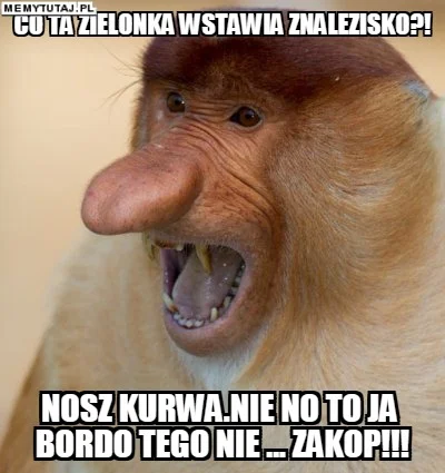 AmatorWykopu - #wykop #bordo #zasady #koty #znalezisko #humorobrazkowy #nosacz #memy ...