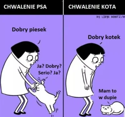 poszukujekota - ¯\(ツ)/¯
#heheszki #koty #kitku #psy #pies #humorobrazkowy #takaprawda