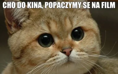 dzasny - #smiesznykot #koty