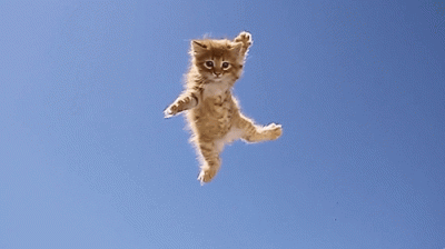 AlekGames - #gif #heheszki #koty

Dobra Mirki, macie kociaka ostatnim rzutem na taś...