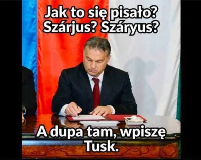 zagorzanin - #heheszki #humorobrazkowy #tusk #orban #polityka