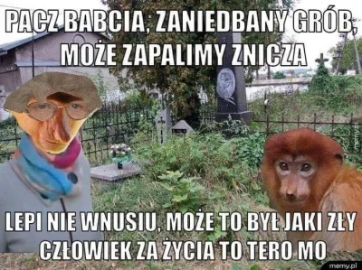 Zarzadca - #polak #nosaczsundajski #bekazkatoli