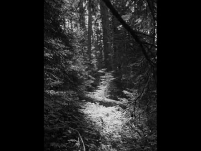 strikerc4 - Carpathian Forest- Nostalgia 

#szesciumuzyczniewspanialych #blackmetal
