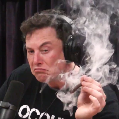 Zawulon - Elon znowu się zjarał i robi dziwne miny.