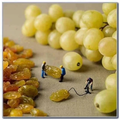 Espo - Jakby ktoś jeszcze nie wiedział jak powstają winogrona...

#humorobrazkowy #wi...
