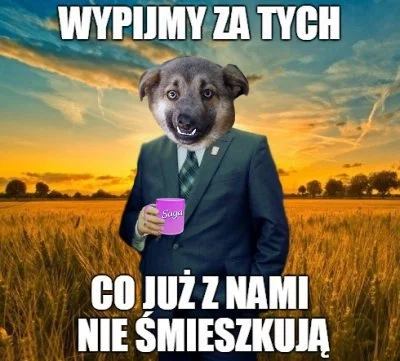 R.....r - SUPERPUNIA I JEJ SAGA NA ZAWSZE W NASZYCH SERCACH <3
#superpunia