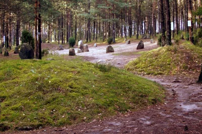 stanislaw-cybruch - #stan #nauka #goci #kaszuby #stonehenge W leśnej gęstwinie magicz...