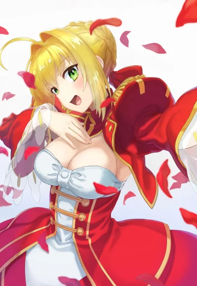 LlamaRzr - #randomanimeshit #fate #fategrandorder #fateextra #saber #saberextra #nero...