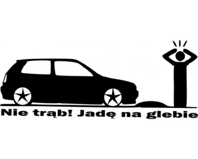 Gaboleusz - #motoryzacja #rakcontent #heheszki #humorobrazkowy
Kto mi wypisze skiero...