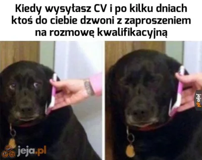 KreatorFastCV - Czy jak do dzwonią z propozycją rozmowy to #wygryw
Wejdź na https://...