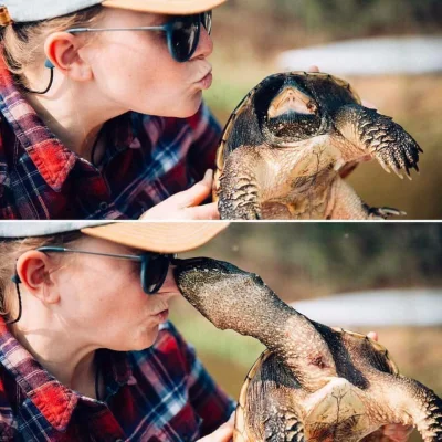 GraveDigger - Gdy chcesz pocałować żółwia, ale to żółw całuje ciebie ( ͡° ͜ʖ ͡°)
#zw...