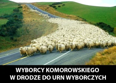 zyyx - #wybory #komorowski #heheszki #humorobrazkowy #smiesznealeprawdziwe