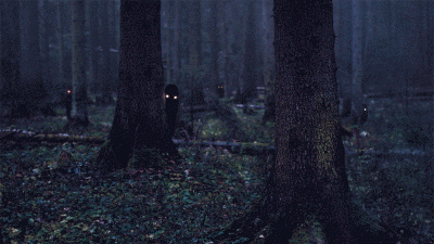 mactrix - Taki tam obrazek na noc :) polecam przypatrzeć się przez chwilkę stworzonku...