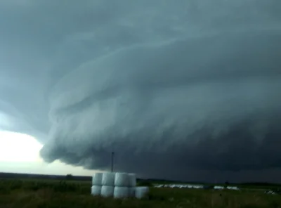 celtics - Nowy rodzaj chmur - nosaczonimbus ( ͡° ͜ʖ ͡°)
#nosaczsundajski #heheszki #...