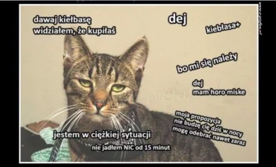 Innowierca - #koty #heheszki #kodki #humorobrazkowy