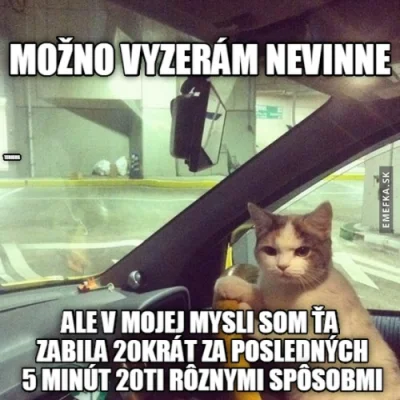 clementine9 - #koty #smiesznekotki #humorobrazkowy