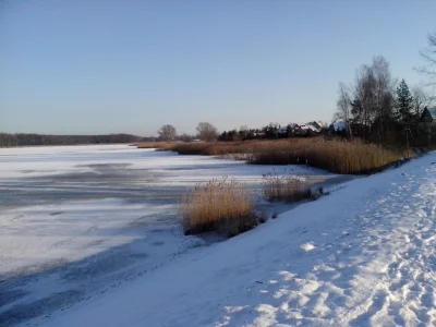 adzik7 - Takie tam ze styczniowego spaceru
#zima #spacer #natura #przyroda #jezioro #...