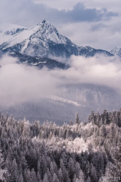 KamilZmc - Tatry w zimowej scenerii.
—————————————
Nikon D7200 + Tamron SP 150-600,...