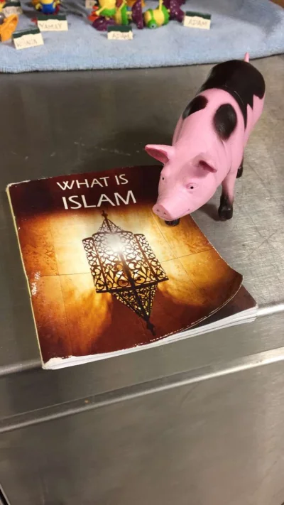 Tfuj_mistsz - Spójrzcie Mirki co dziś znalazłem w pracy #islam #lewackibuldupy