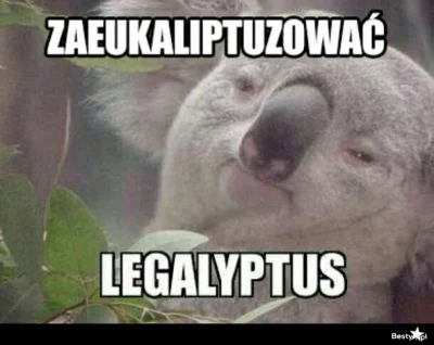 GolompSracz - zaeukaptiuoizowac legalypus #humorobrazkowy #leniwiec
