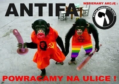 Rhobar - Widzę że antifa wylazła ze skłotów ( ͡º ͜ʖ͡º)