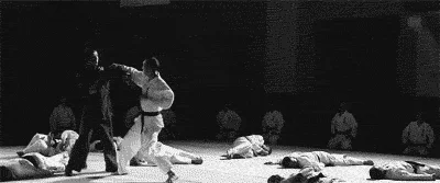 Splendor - #humorobrazkowy #gif



NOCNY > DZIENNY