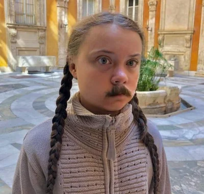 fcpierniczek - #codziennagretathunberg