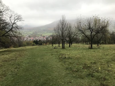 ves93 - Cześć #bieganie ! Pozdrowienia z Baden-Württemberg. Dziś pod znakiem brodzeni...