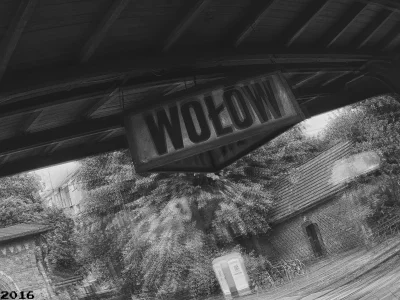 kamerzysta_Mateusz - Jadąc sobie pociągiem przez Polskę. #fotografia #wolow #pkp