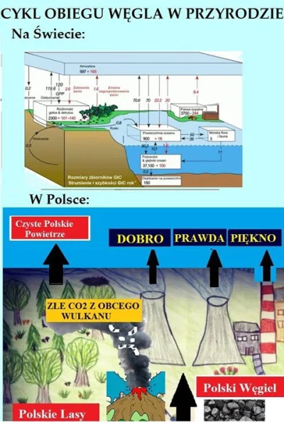 Sierkovitz - Ten rysunek daje nam niepowtarzalną okazję, żeby zobaczyć jak wygląda wn...