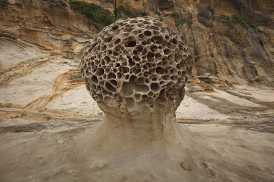 likk - #smiesznygrzybek

Yehliu Geopark - Tajwan

#earthporn