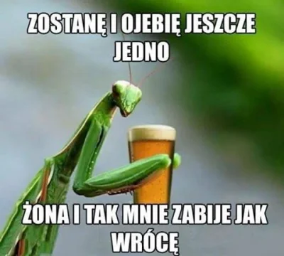 darosoldier - #piwo #logikarozowychpaskow #heheszki