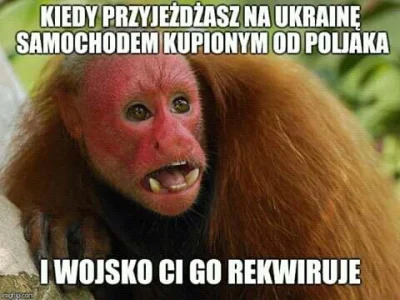 J.....s - ! spoiler #ukraina #ukrainiec #wojna #emigracja #samochody #humorobrazkowy ...