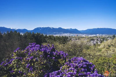 wallofwudu - Wiosna w Vancouver, mega zielonym mieście :)

#kanada #podroze #fotogr...