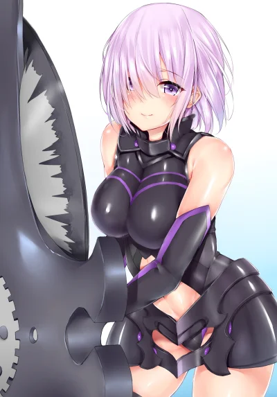 n.....S - #randomanimeshit #fate #shielder #