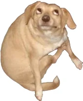 tr4b4nt - funny (śmieszne)