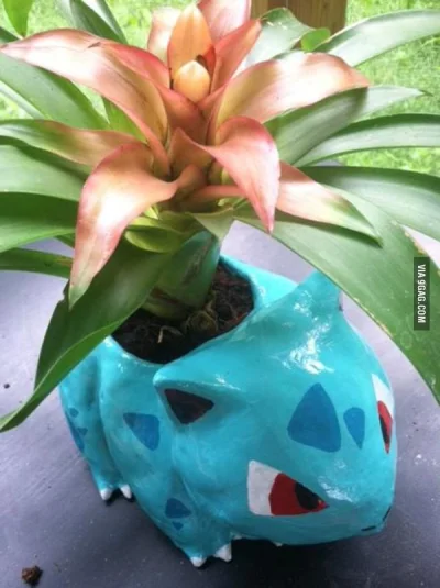 n.....r - Pomysł na roślinę :)

#9gag #pokemon #obrazek