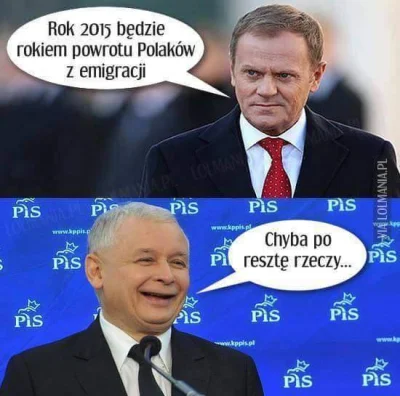 Kraschau - #kaczynski #tusk #pis #po #emigracja