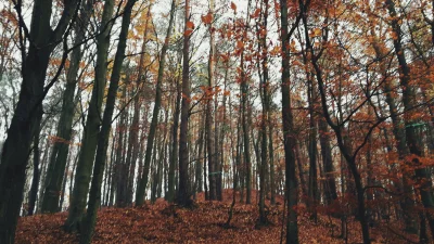 m.....1 - @3rdEye jak powiedziała tak zrobiła ^^ pozdrowienia :)