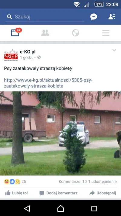 Yollo_Swaggins - ! #heheszki #policja #polska