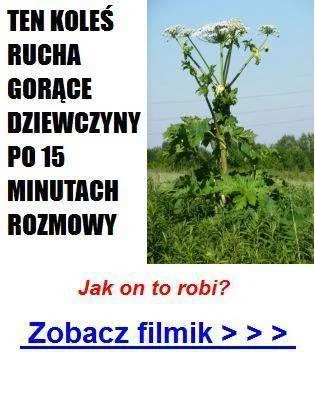 Kluska1337 - A WY CO PRZEGRYWY I STULEJE?! ( ͡° ͜ʖ ͡°) 

#heheszki #humorobrazkowy ...