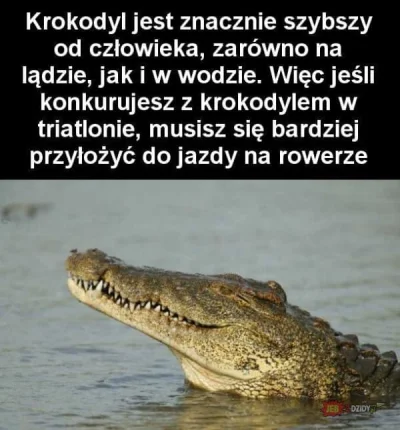 Frasobliwy_Galimatias - Memy z krokodylami/aligatorami. 
Co macie?