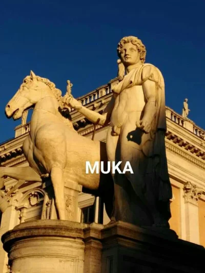 brodzi - #rzym #muka #heheszki