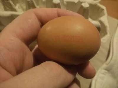 Kry00 - Ciekawe co mam zrobić z tymi jajami? :)
