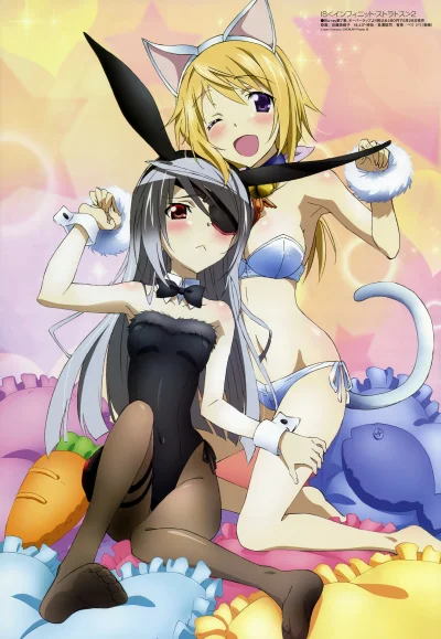 odglosy_bebnow - (｡◕‿‿◕｡)
#anime #randomanimeshit #infinitestratos #laurabodewig #ch...