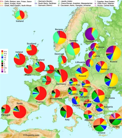 Svoboda - Genetyczna mapa Europy #pics #infografika
