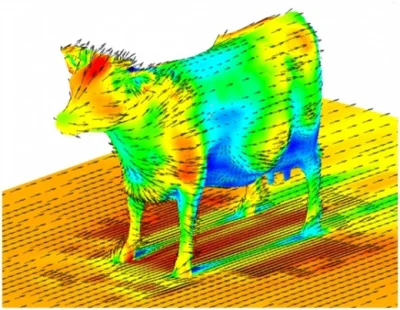 bugsmierci2005 - aerodynamika krowy