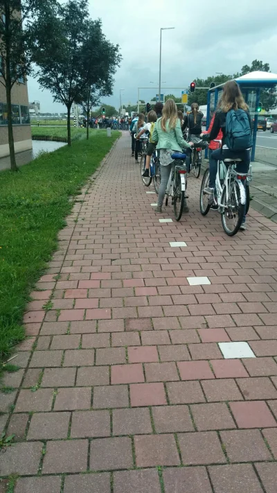 Gregorius_123 - Korek rowerowy w #holandia #byloaledobre #rowery